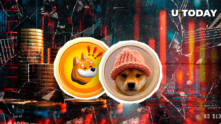 Мем-криптовалюты Dogwifhat и Bonk теряют позиции на фоне общего падения рынка