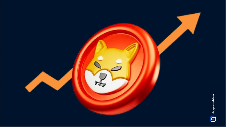 Шитоиси Кусама опроверг мошенничество с токеном TREAT в экосистеме Shiba Inu