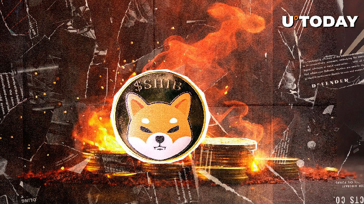 Резкий рост сжигания токенов Shiba Inu на 4100% за сутки: что происходит на рынке?