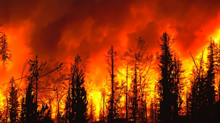 Ripple и Moonpay пожертвовали $50,000 для поддержки пожарных Лос-Анджелеса в борьбе с лесными пожарами через новый стейблкоин RLUSD.