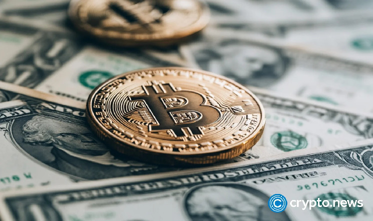 Компании, принимающие биткойн: от крафтовых напитков до ресторанов и магазинов