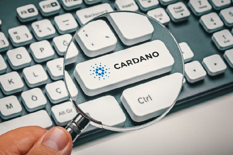 Хейс критикует Cardano, назвав его желающим стать Ethereum