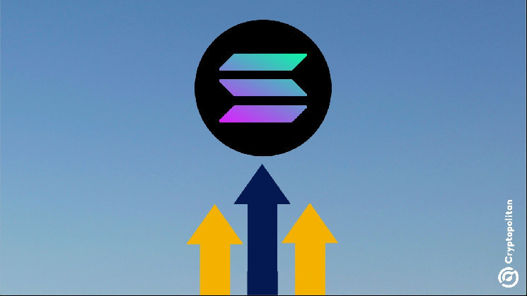 Solana на шляху до зростання: 10 млн активних адрес та потенційний запуск ETF