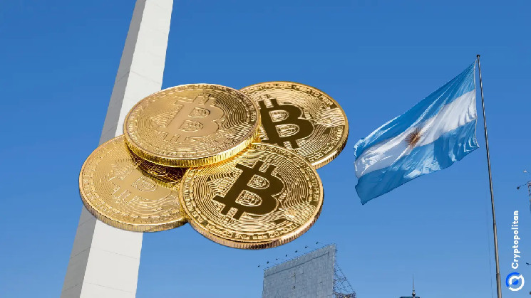 Аргентина добавила 1300 биткойнов в корпоративные портфели: готова ли она следовать примеру Эль-Сальвадора?