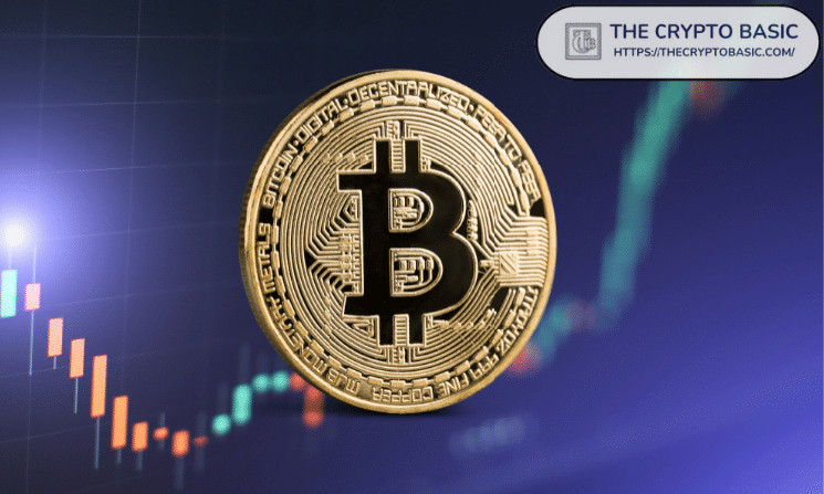 Биткоин: цель - $57 000, уровень поддержки $51 500.