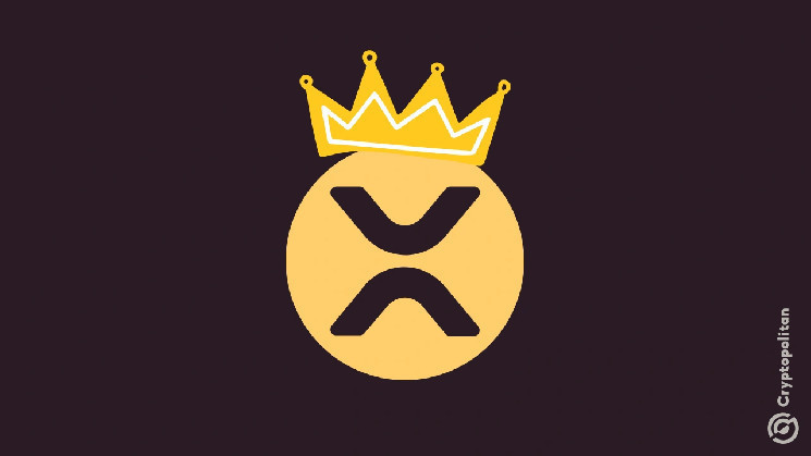 XRP від Ripple лідирує серед топ-50 активів за зростанням: рекорд 2025 року та обіцянки нової адміністрації Трампа.