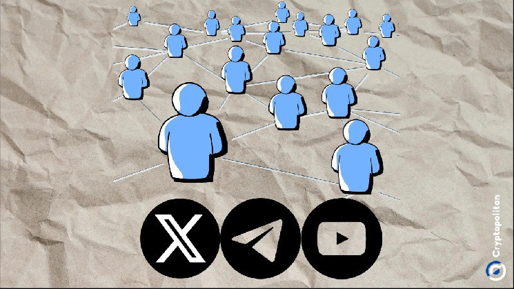 Влияние социальных медиа на инвестиции в криптовалюту: исследование Университета Джорджии показывает связь и опасности для молодежи.