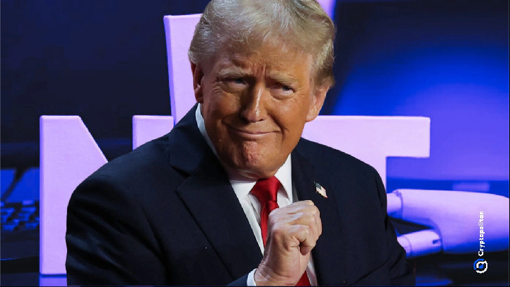 Трамп запускає мемекоїн та NFT-колекцію, яка швидко зросла на 400% за обсягом торгів