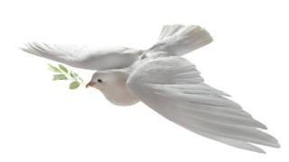 Трамп оголошує про кінець терору щодо криптовалюти та старт інновацій в США