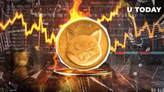 Рост сжигания токенов Shiba Inu на 981%: 30 миллионов SHIB исчезло, но цена упала