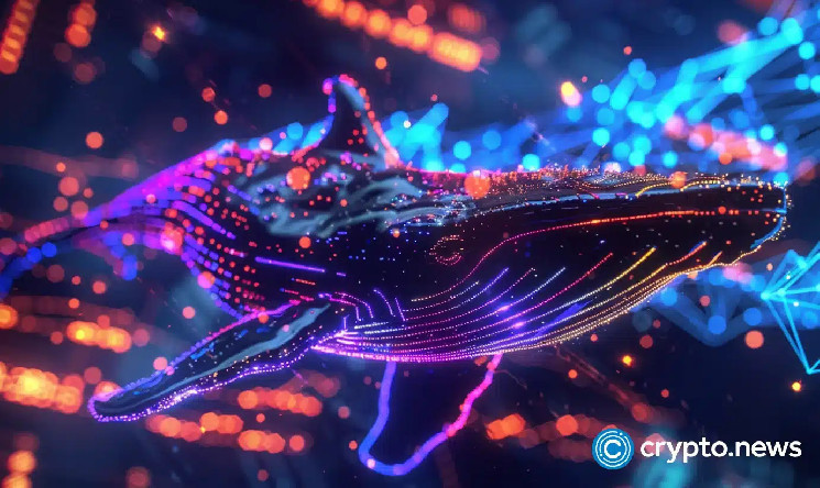 Киты понесли большие убытки на мем-койнах семьи Трампа: падение цен токенов TRUMP и MELANIA