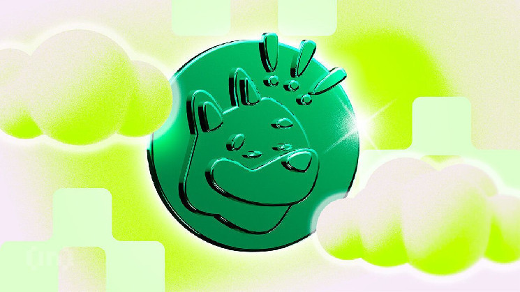 BONK злетів на 12% після заявки на ETF від Rex Shares: інвестори в новому запалі