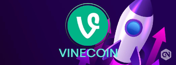 VINECOIN: новый мемкойн запускает старую магию Vine с рыночной стоимостью 18 миллионов долларов