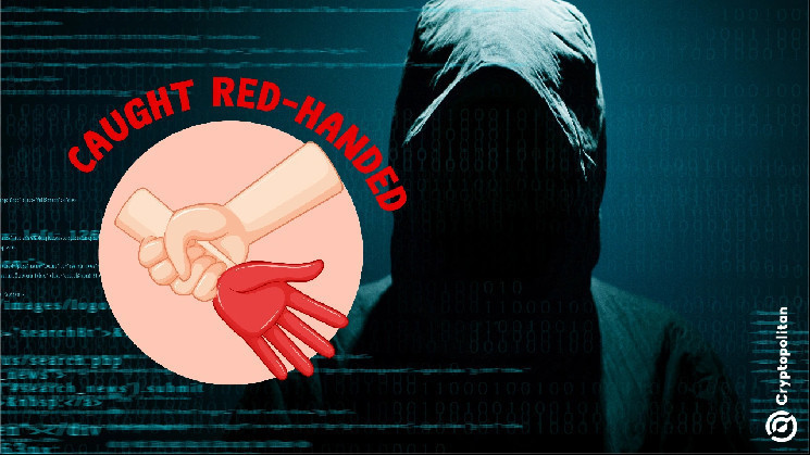 Мошенник vKevin использует фальшивого Telegram-бота для кражи активов и личных данных пользователей