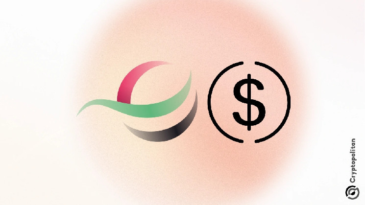 DP World запускает стейблкоин для международных трансакций между странами
