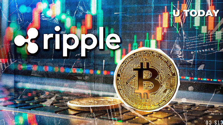 Биткойн останется номером один: прогноз Дэвида Шварца из Ripple и конфликт с защитниками XRP