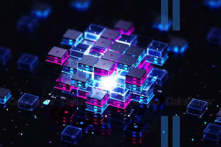 Цена Onyxcoin (XCN) выросла на 800% за две недели: причины и последствия роста