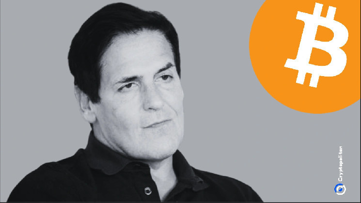 Кубан пропонує реєстрацію мемкойнів для покращення якості токенів у криптоіндустрії