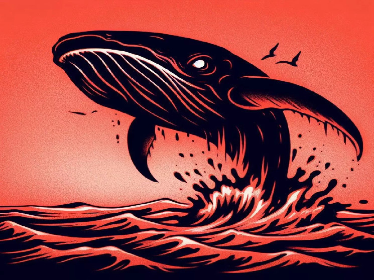 Киты увеличивают длинные позиции в альткойнах на фоне резкого падения крипторынка из-за AI-инструмента DeepSeek