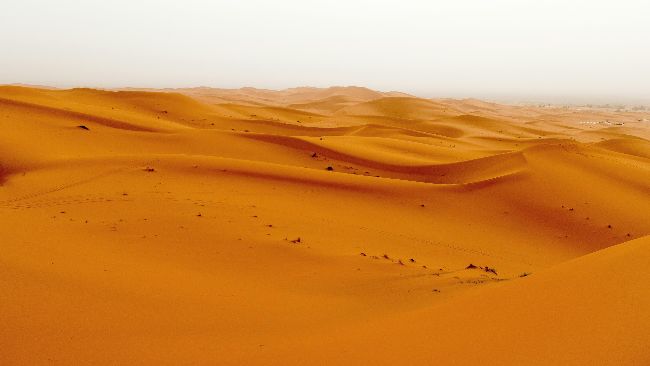 Голос роздрібних інвесторів у формуванні криптополітики: новий Криптосовіт Трампа як шанс для інновацій та справедливості