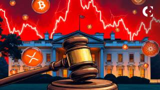 Elliott Management предупреждает о рисках криптовалют и их спекулятивном пузыре, возможном хаосе и угрозе финансовой стабильности в США