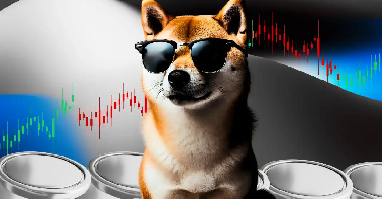 Прогноз зростання Dogecoin: Крипто-кити накопичують 560 мільйонів монет до 2025 року