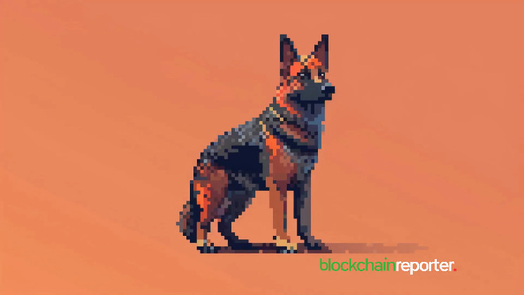 Новый криптокошелек вывел 14 миллионов $WIF из Binance для вестинга на сумму 15,48 миллиона долларов