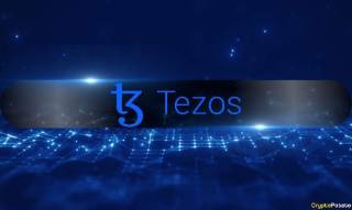 Tezos: рост доходов и активности пользователей на уровне 2 в IV квартале 2024 года