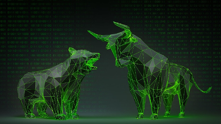 Початок 2025 року на крипторинку: Біткоїн зростає, Ефір падає, мем-криптовалюти обвалюються