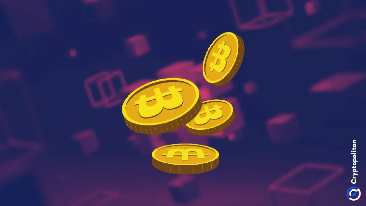 Ситуация с Биткойном: пустые блоки и снижение активности в сети