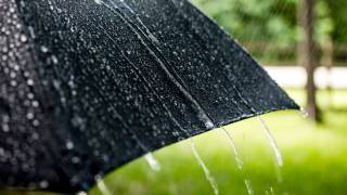 Криптовалютные акции падают на фоне потерь биткойна и фьючерсов в США