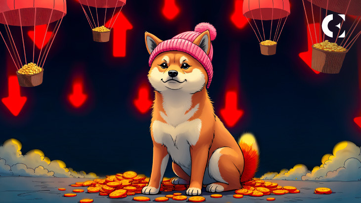 Dogwifhat запускає домени .WIF для підтримки криптоактивів та громади