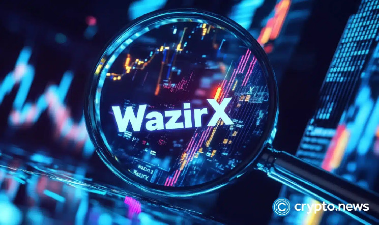 WazirX предлагает выбрать: поддержка DEX или ожидание возврата средств до пяти лет