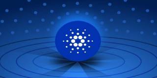 Внимание Cardano: предупреждение о мошенничестве.