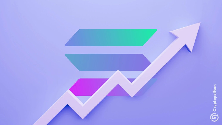 ВВП Solana взлетел на 300% благодаря мемам и ботам в четвертом квартале 2024 года