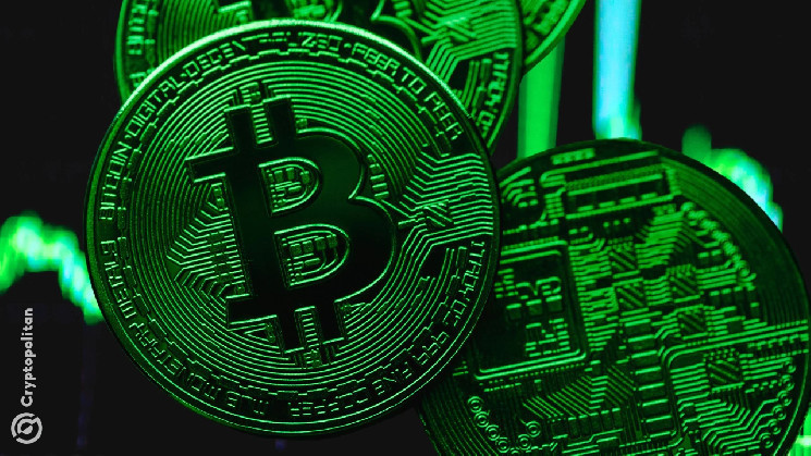 Рынок криптовалют: Розничные инвесторы распродают, киты накапливают активы в ожидании роста биткойна