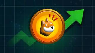 Серйозний спад мем-коіну BONK: чи є можливість для інвесторів?