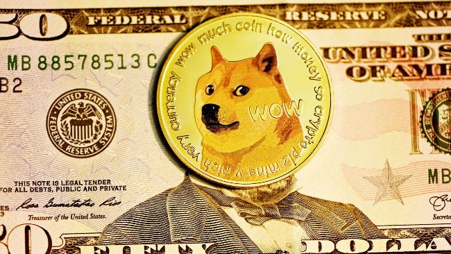 Криптовалюти Cardano та Dogecoin падають: трейдери чекають на дані з ринку праці США