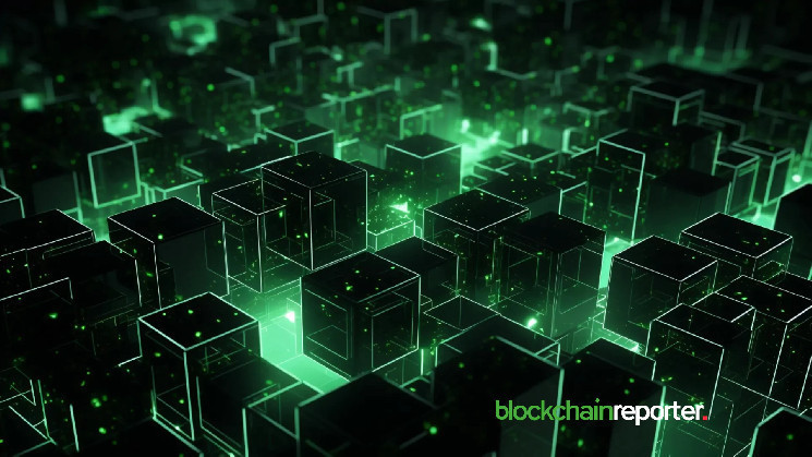 Запуск тестовой сети ZNS Connect на Berachain