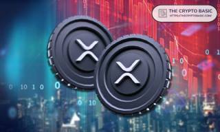Кількість гаманців з 1 мільйоном XRP зросла після падіння ціни: 53 нові адреси в один день