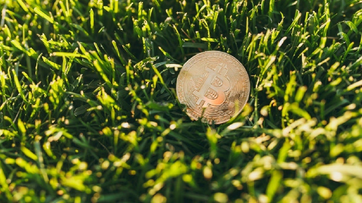 Биткойн: надёжный выбор в мире нестабильных мем-монет