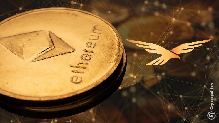 Світова фінансова компанія Трампа інвестує у токени Movement (MOVE) та підтримує екосистему Ethereum