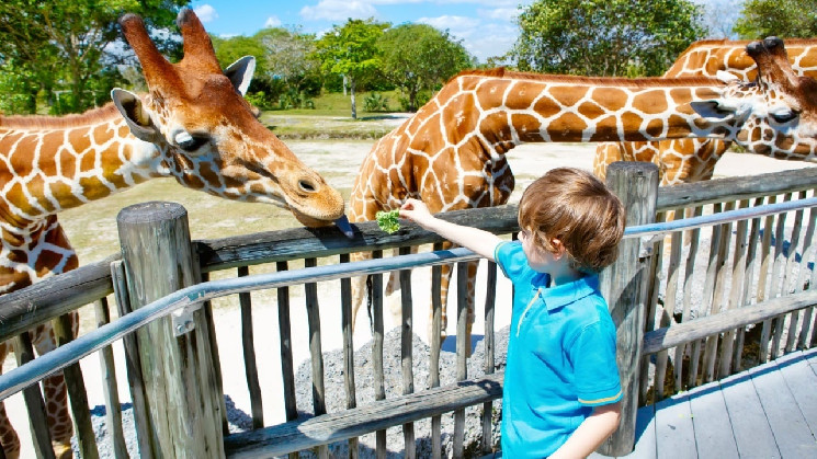 Мексиканский миллиардер Салинас раскритиковал Европу, назвав ее зоопарком, подсовывающим CBDC гражданам.