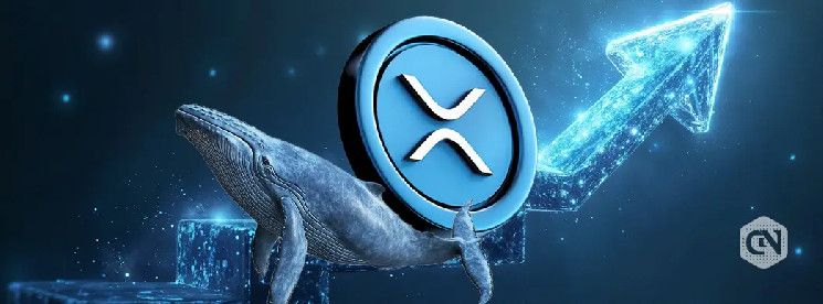 XRP: Чи може ціна досягти $3.70 після відновлення на рівні $2.41?