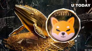 Киты Shiba Inu накапливают токены: бычий сигнал или нет?