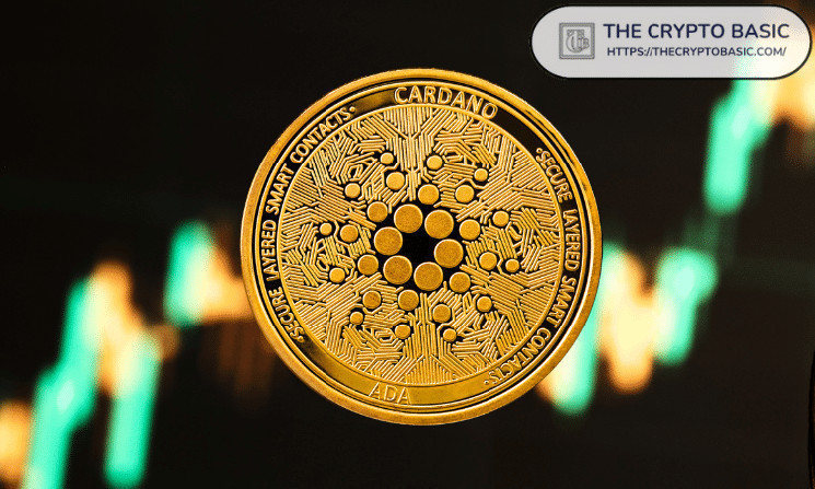 Кардано може зрости до $1: експерт прогнозує повторення успіху BNB на 20%