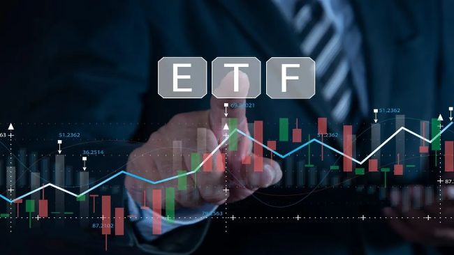 Заявки на ETFs по Solana, XRP и Cardano: Возможное одобрение SEC вызывает интерес инвесторов