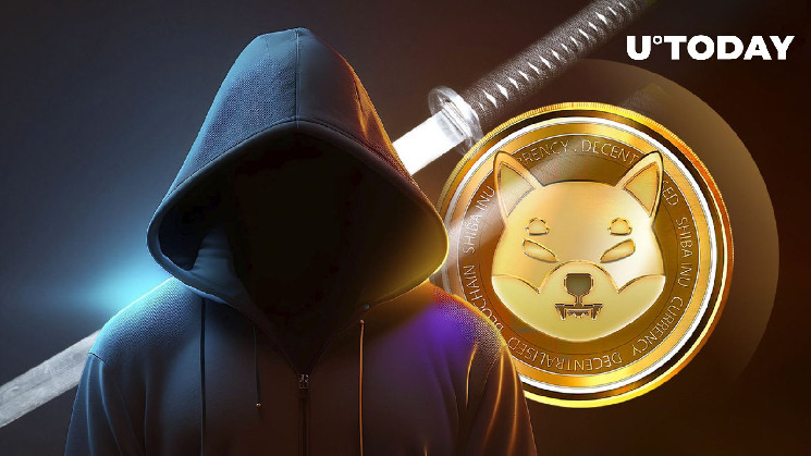 Какие реальные угрозы поджидают пользователей криптовалют: предупреждение от SHIB