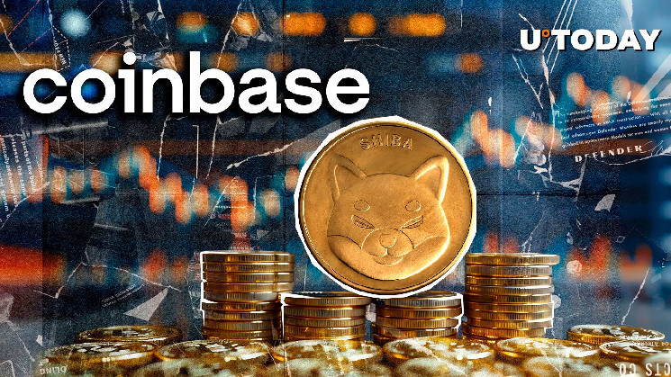 Таинственные выводы Shiba Inu на Coinbase: что это значит для рынка?