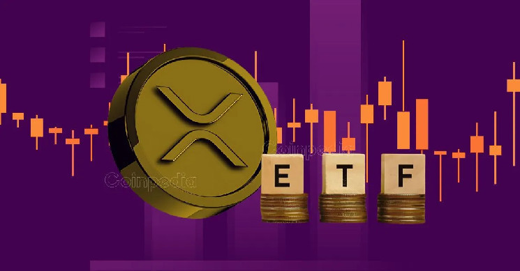 Глава Bitwise о перспективах ETF на XRP: это «долгая игра», но SEC может одобрить